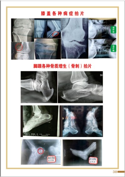 杨宗仙：中医传承创新领路人，为民治病写下传奇故事