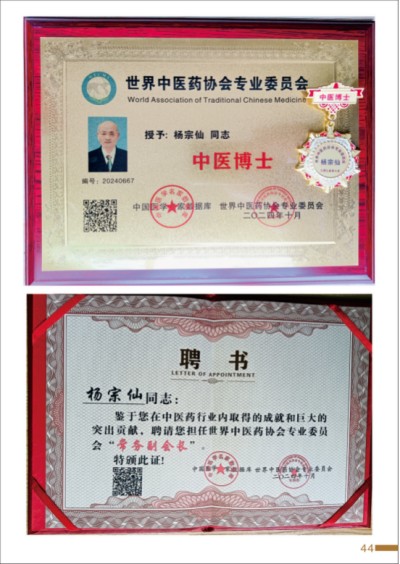 杨宗仙：中医传承创新领路人，为民治病写下传奇故事