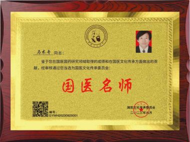 党旗下的国医名师  大健康时代楷模 ——马术奇